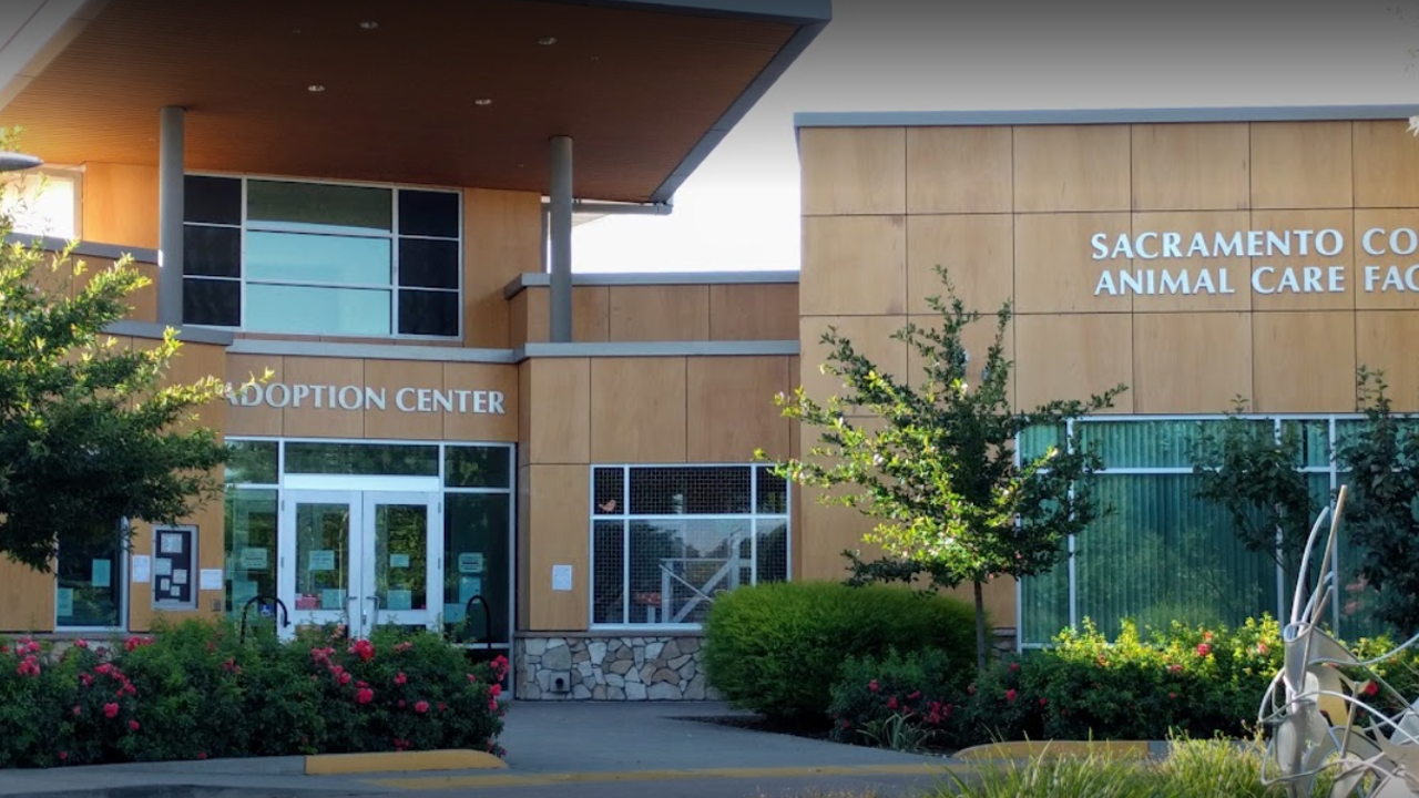 Sacramento County Animal Care Facility — Municipal electrical project